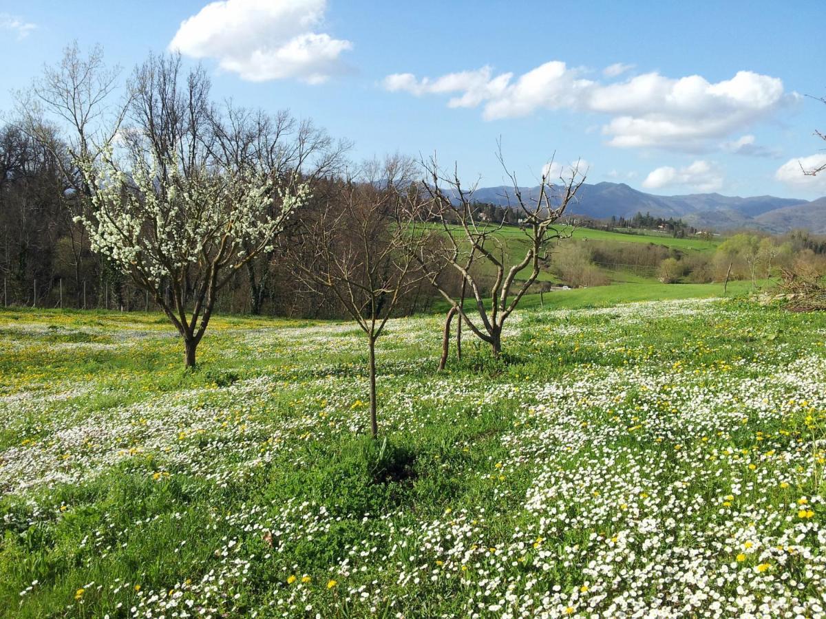 ויקיו Tuscan Hills - Stonehouse, Garden & Pool מראה חיצוני תמונה