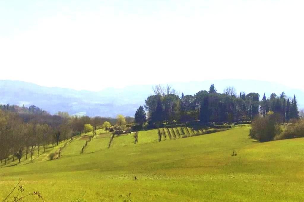 ויקיו Tuscan Hills - Stonehouse, Garden & Pool מראה חיצוני תמונה