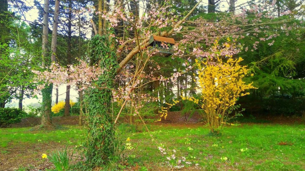 ויקיו Tuscan Hills - Stonehouse, Garden & Pool מראה חיצוני תמונה