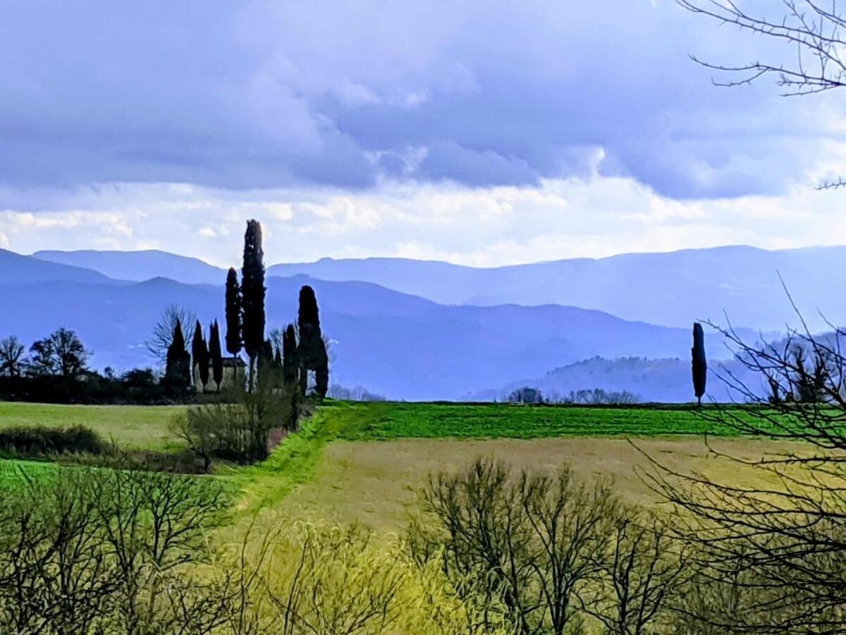 ויקיו Tuscan Hills - Stonehouse, Garden & Pool מראה חיצוני תמונה