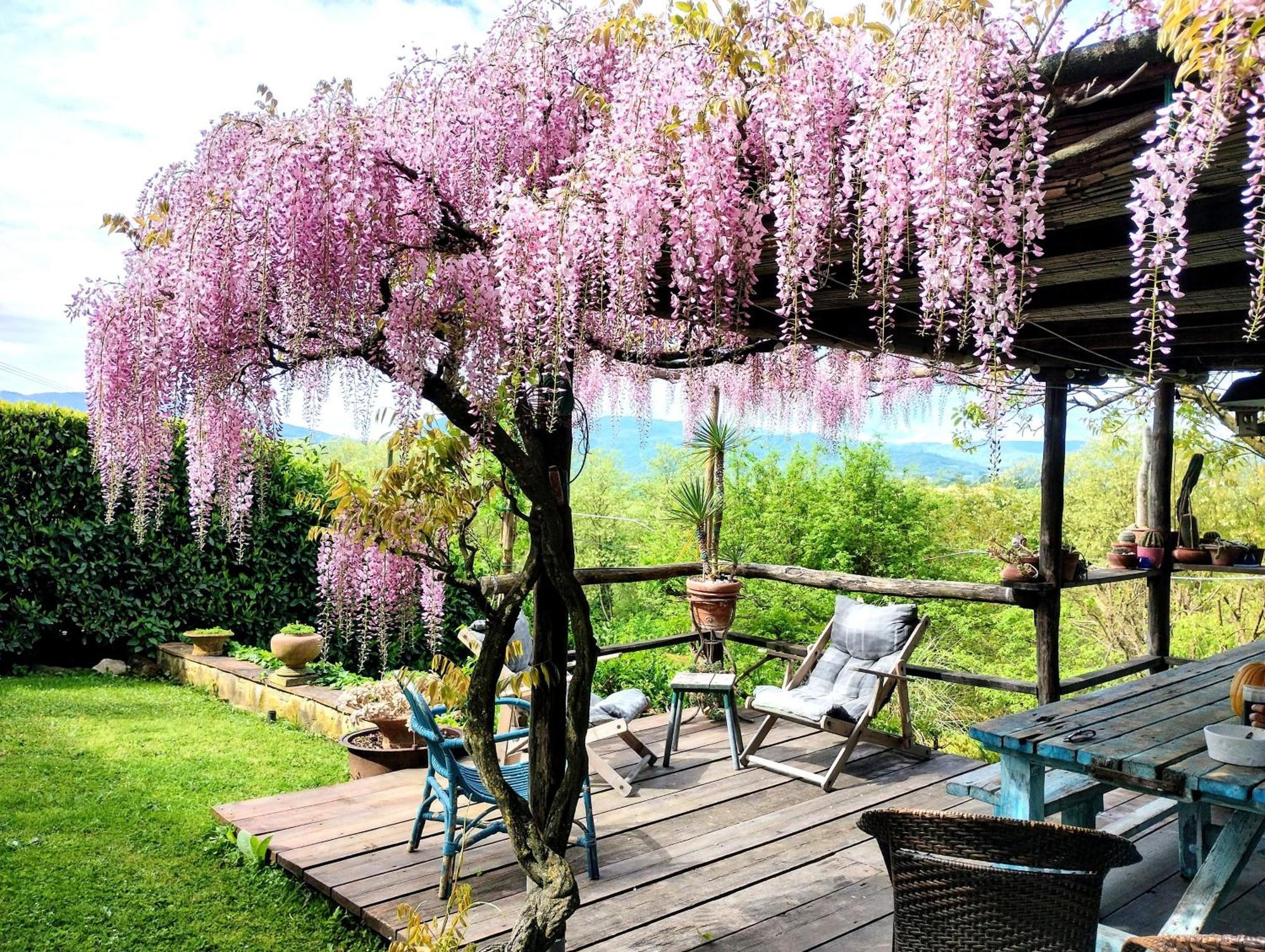 ויקיו Tuscan Hills - Stonehouse, Garden & Pool מראה חיצוני תמונה